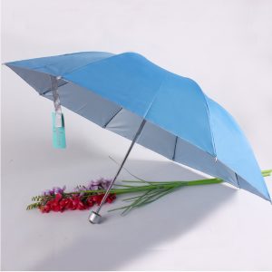 13766_umbrella_1