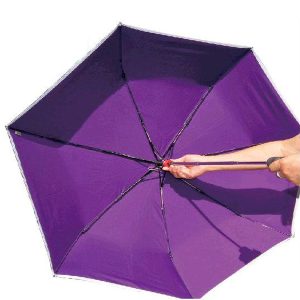 13772_umbrella_1