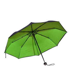 13773_umbrella_1