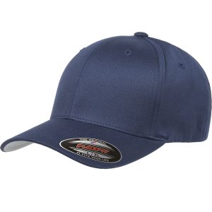 15663_hat_1