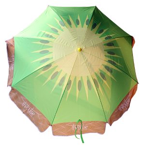 7589_umbrella_1