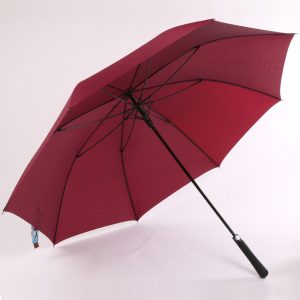 8628_Umbrella_01